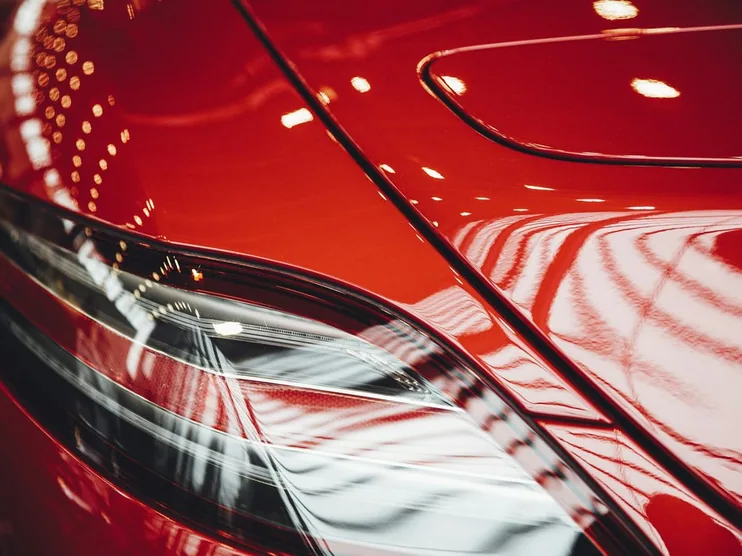 glossy rear quarter, close