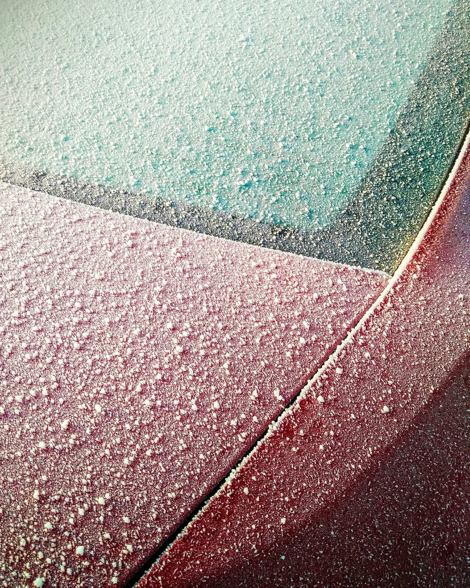 water beading on a coated bonnet, upright